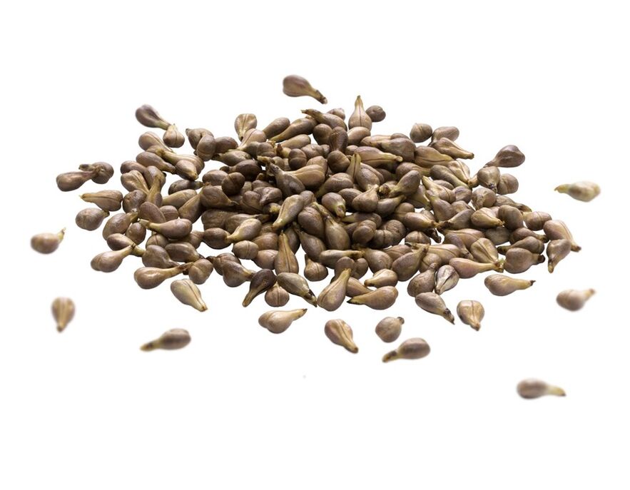 Varicon -Creme enthält Traubensamenöl