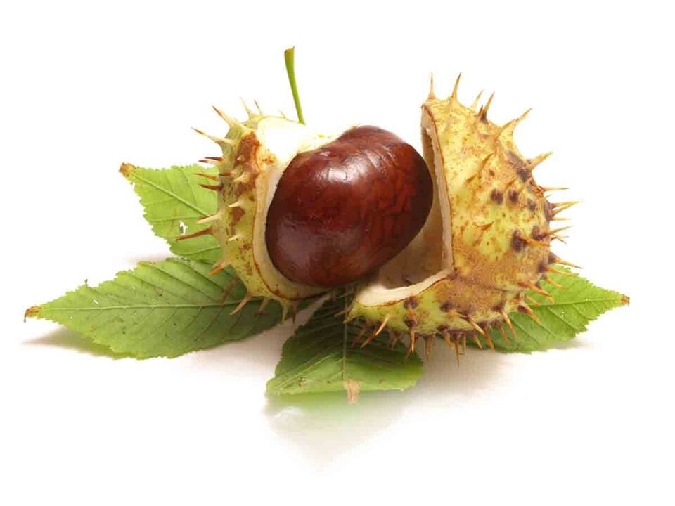 Varicone -Creme enthält Pferdekastanienextrakte